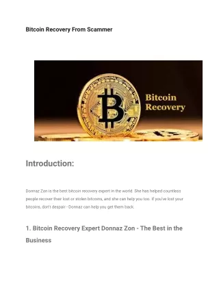 Bitcoin Recovery From Scammer