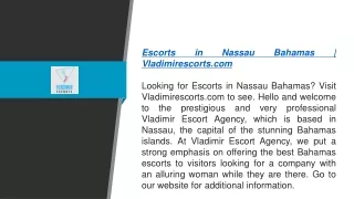 Vladimir Escort Agency