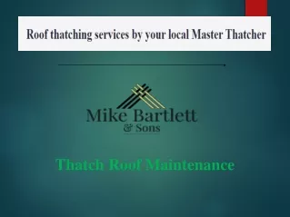 thatch roof maintenance