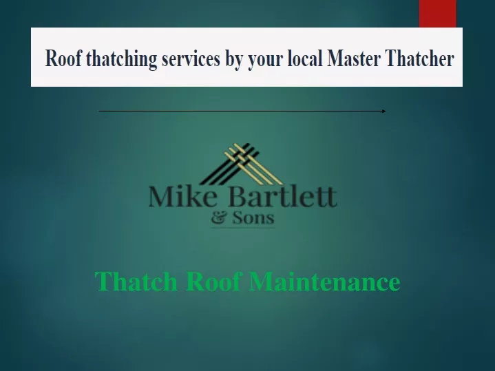 thatch roof maintenance