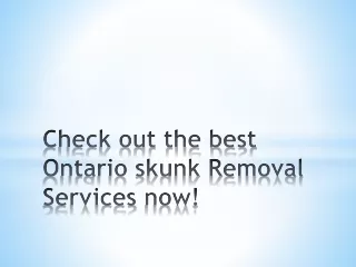 Check out the best Ontario skunk Removal Services now!