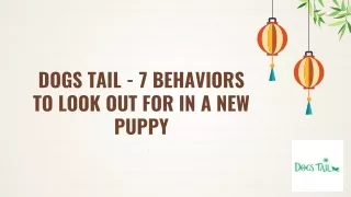 Dogs Tail - 7 Behaviors to Look Out for in a New Puppy