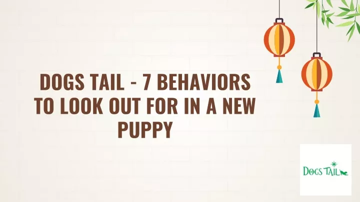 dogs tail 7 behaviors to look out for in a new puppy