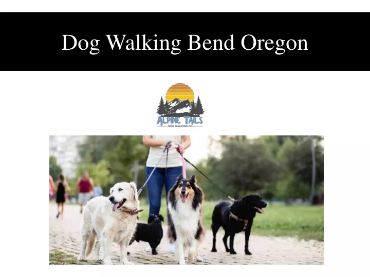 dog walking bend oregon