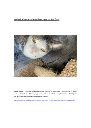 Holistic Consultations Pancreas Issues Cats