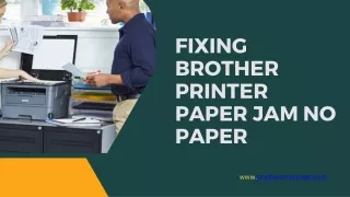 Fixing Brother Printer Paper Jam No Paper Error | Contact  1-855-277-9993