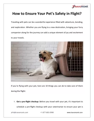 How To Ensure Your Pets Safety In Flight