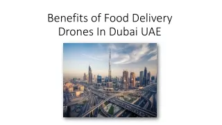 benefits of food delivery drones in dubai uae
