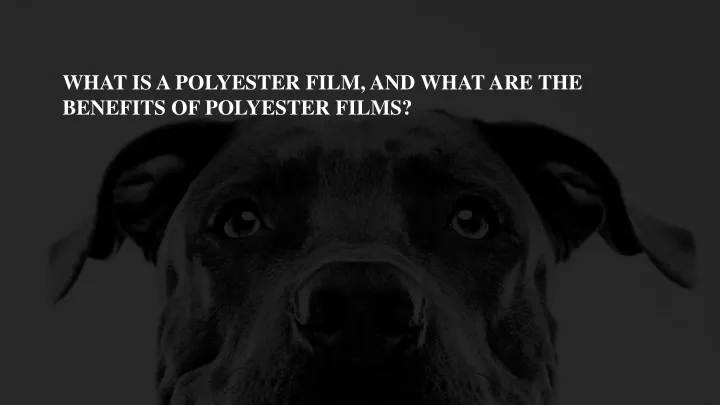 what is a polyester film and what are the benefits of polyester films