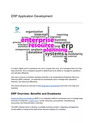 erp application development