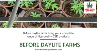 Before daylite farms - A complete range of high-quality CBD products