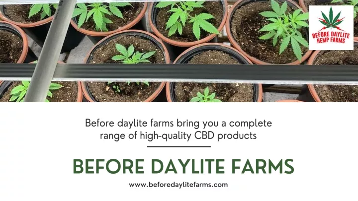 before daylite farms bring you a complete range