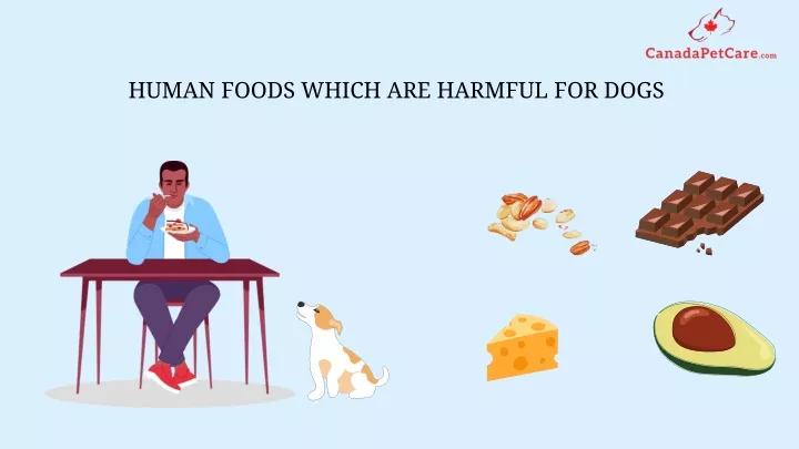 human foods which are harmful for dogs