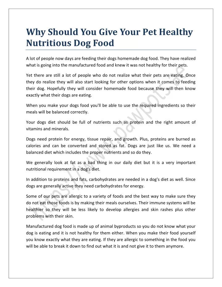 why should you give your pet healthy nutritious