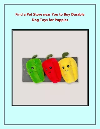 Find a Pet Store near You to Buy Durable Dog Toys for Puppies