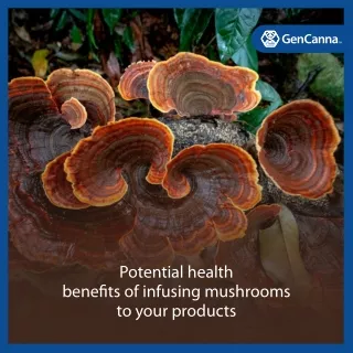 potential health