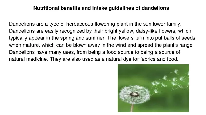 nutritional benefits and intake guidelines of dandelions