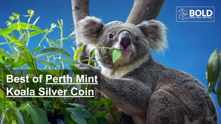 best of perth mint koala silver coin