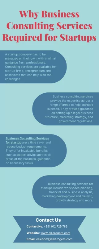 why business consulting services required