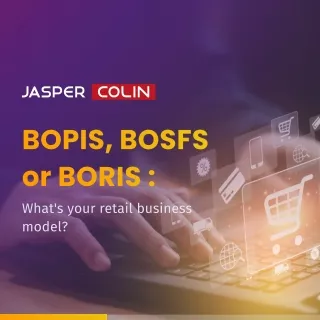 bopis bosfs or boris
