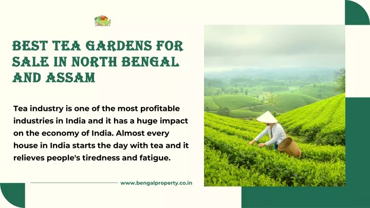 best tea gardens for sale in north bengal