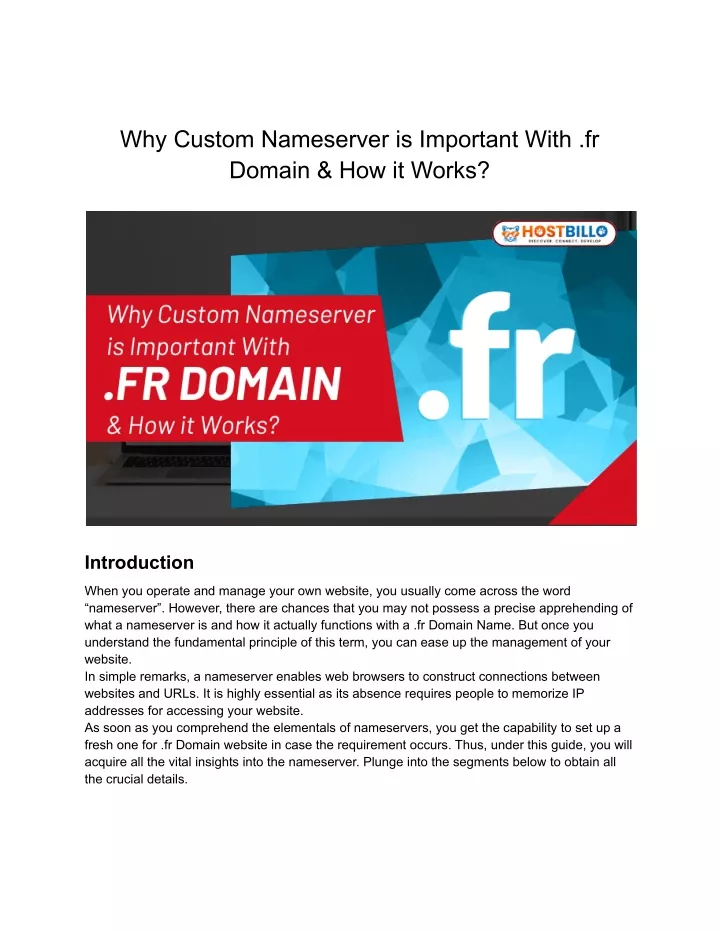 why custom nameserver is important with fr domain