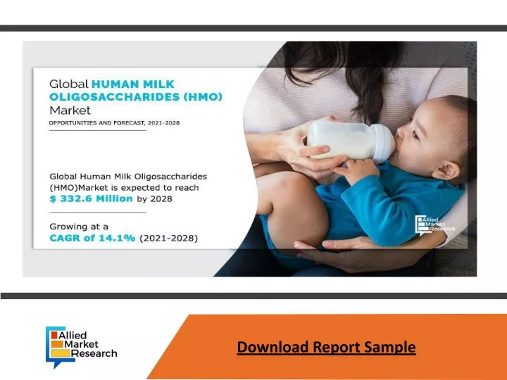 download report sample