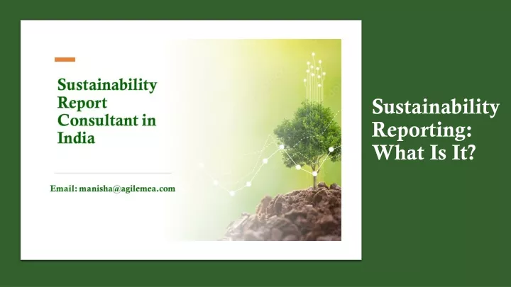 sustainability reporting what is it