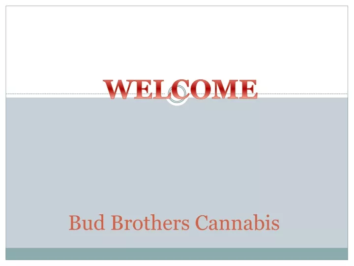 bud brothers cannabis