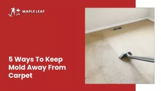 5 ways to keep mold away from carpet