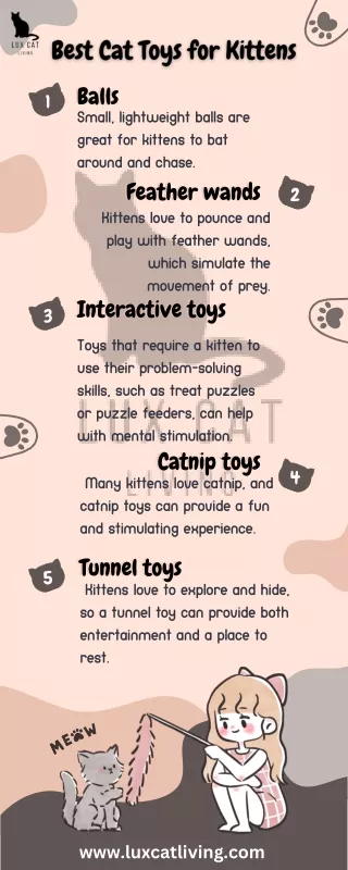 Best Cat Toys for Kittens