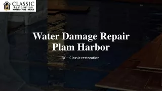 Water Damage Repair Plam Harbor