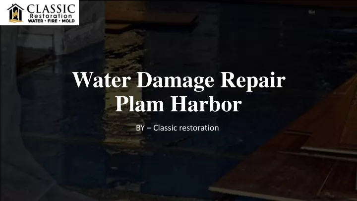 water damage repair plam harbor