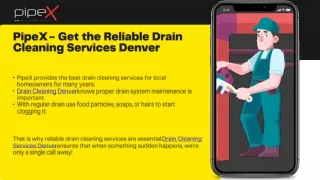 Best Plumbers For Sewer Line Camera Inspection Denver