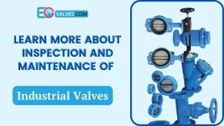 Learn More About Inspection and Maintenance of Industrial Valves