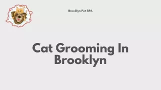 Hire Cat Grooming Services In Brooklyn
