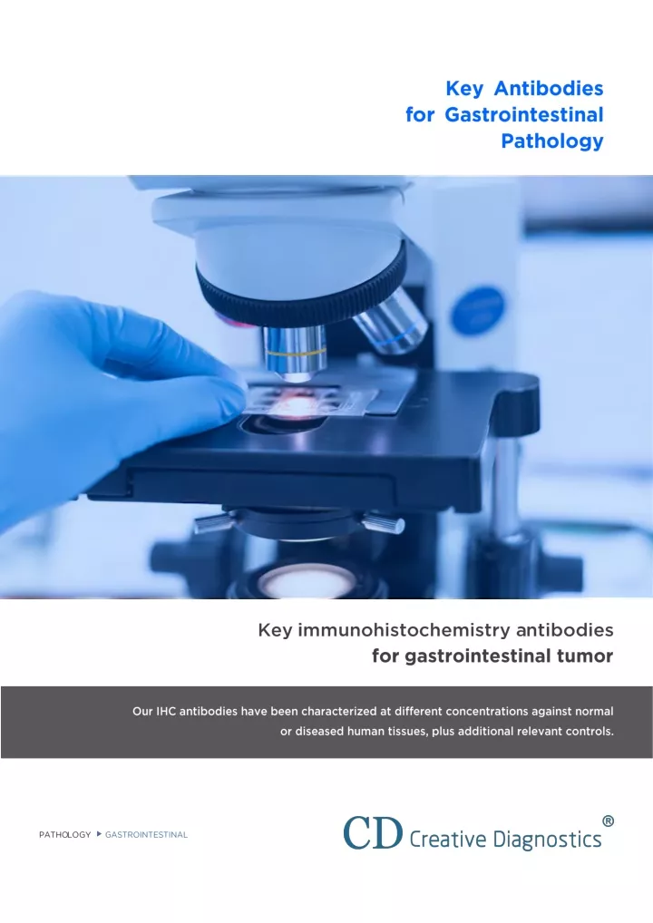 PPT - Key Antibodies for Gastrointestinal Pathology PowerPoint ...