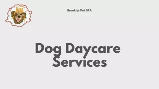 Brooklyn Pet SPA - Best for Daycare Services