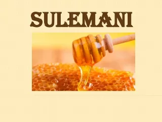 sulemani