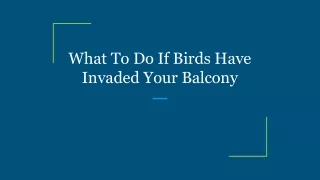 What To Do If Birds Have Invaded Your Balcony