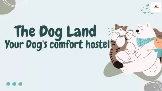 Best Dog hostel in Ahmedabad, facilities, safety measures and more