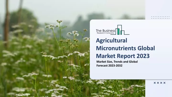 agricultural micronutrients global market report