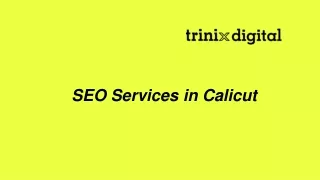 seo services in calicut