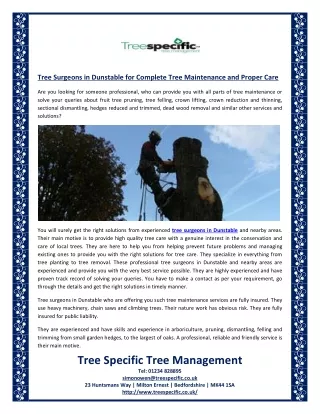 Tree Surgeons in Dunstable for Complete Tree Maintenance and Proper Care