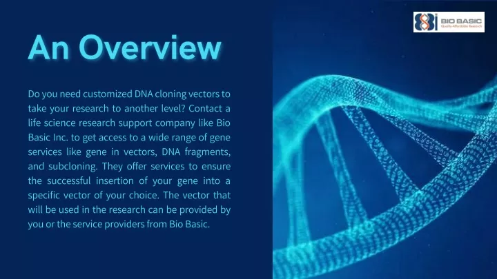 do you need customized dna cloning vectors