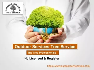 Outdoor Services Tree Service