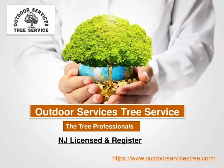 outdoor services tree service
