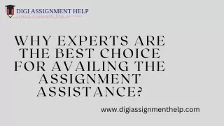 Why Experts Are the Best Choice For Availing the Assignment Assistance