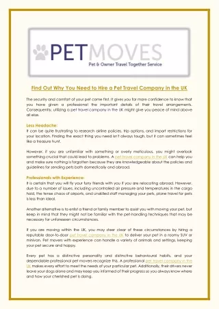 Find Out Why You Need to Hire a Pet Travel Company in the UK