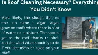 Is Roof Cleaning Necessary Everything You Didn't Know